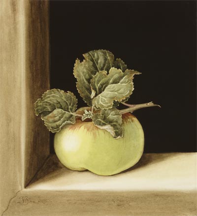 'Still Life with Apple', Watercolour, Jenny Barron